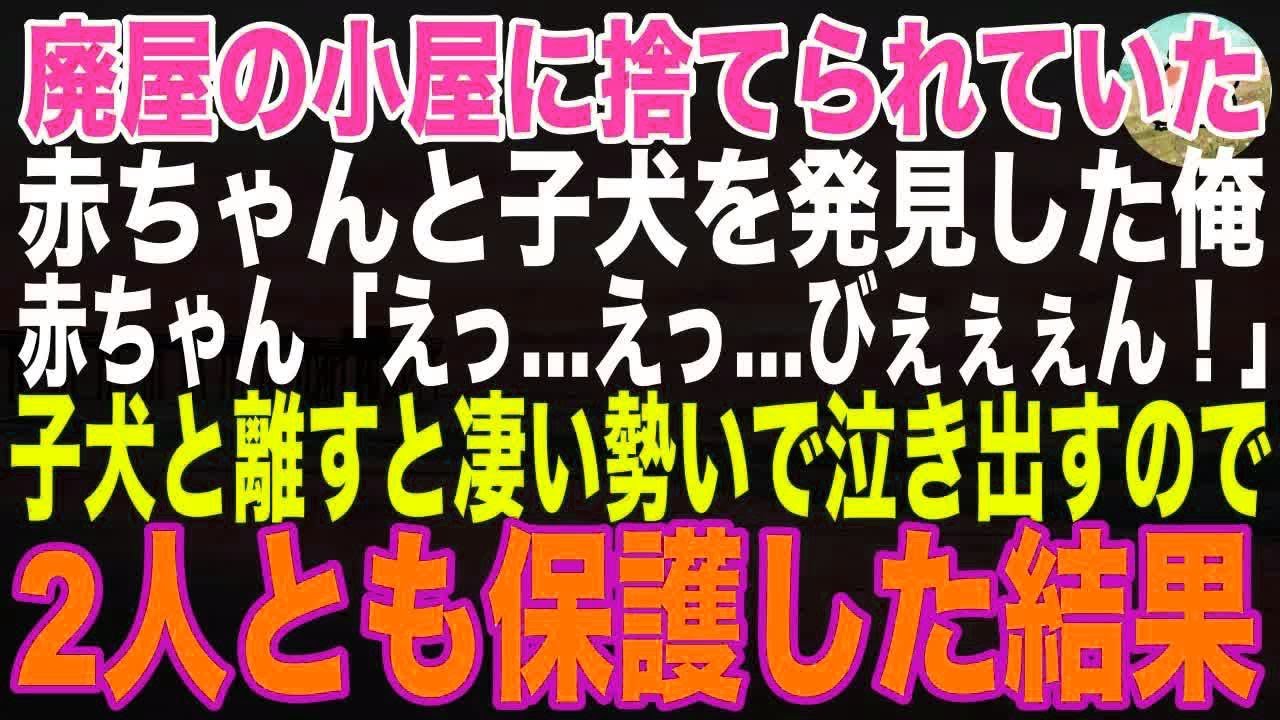 【感動する話】廃屋の小屋で発見された赤ちゃんと子犬→子犬と離そうとすると大泣きするので、2人揃ってうちで保護することになった結果…【朗読・スカッと】