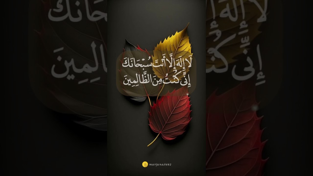 Quran restrictions #Quran translation #qurantranslation #quranrecitation  #quranquotes n