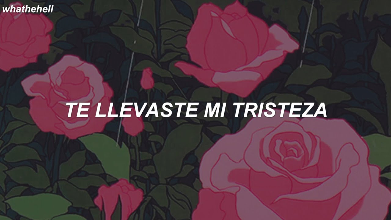 con flores te llevaste mi tristeza, con colores