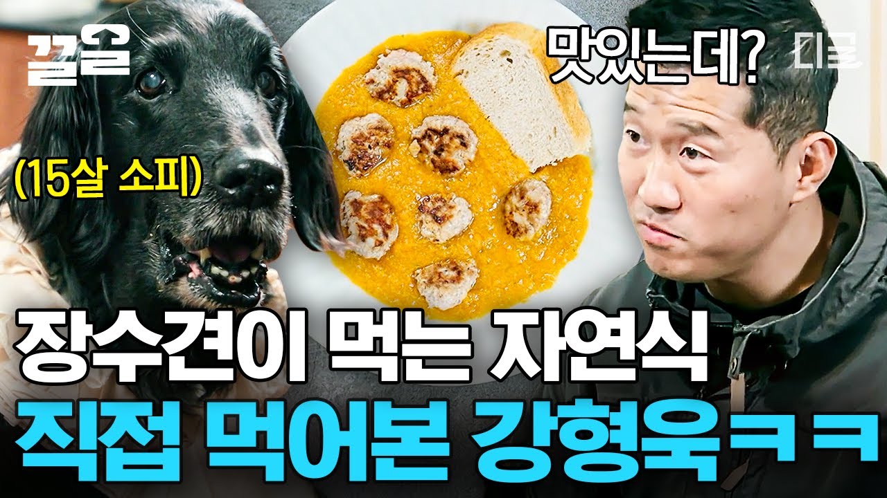 [#고독한훈련사] 이제 개밥도 먹는 개통령🤤 강아지 밥 보면서 침 흘리긴 처음이야💦 황태굴국밥이 최애인 소피의 자연식