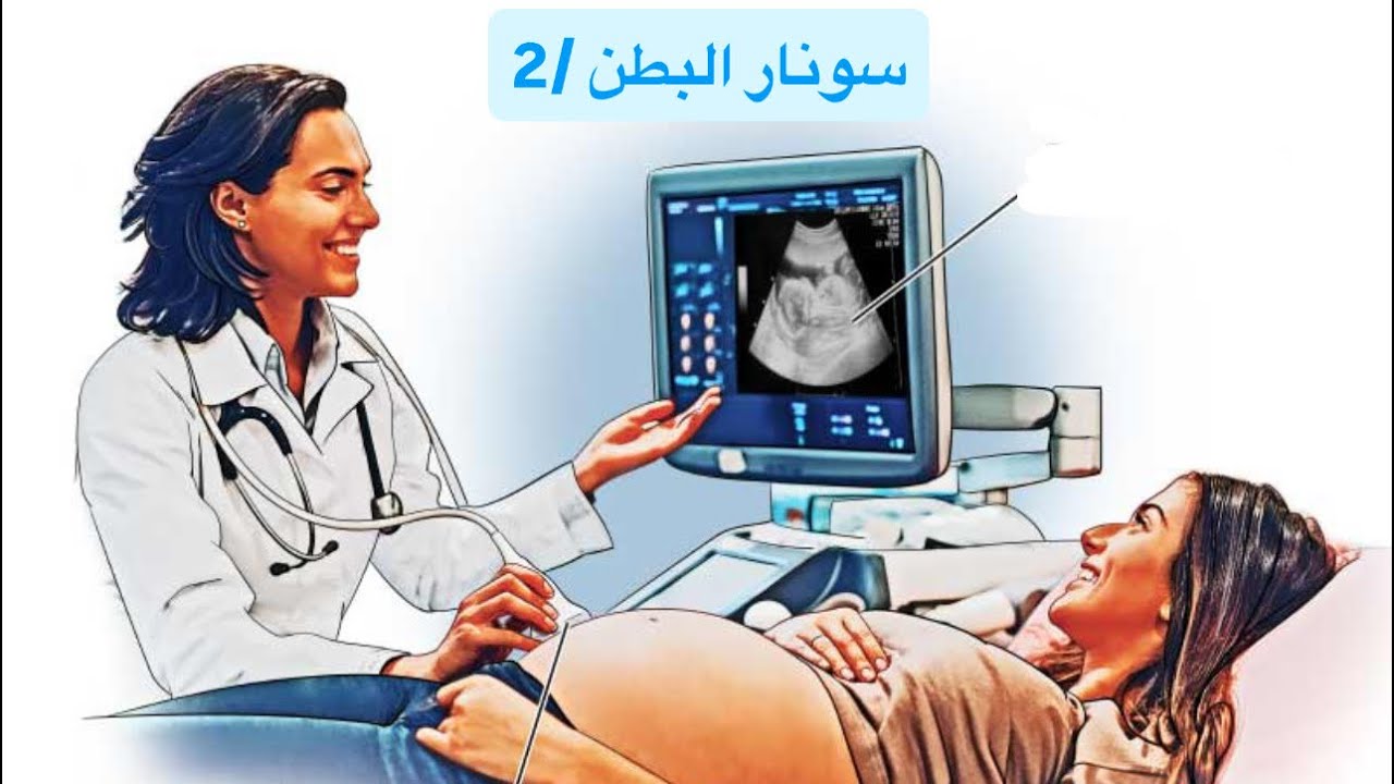 سونار البطن / المرحلة الرابعة / المحاضرة 2