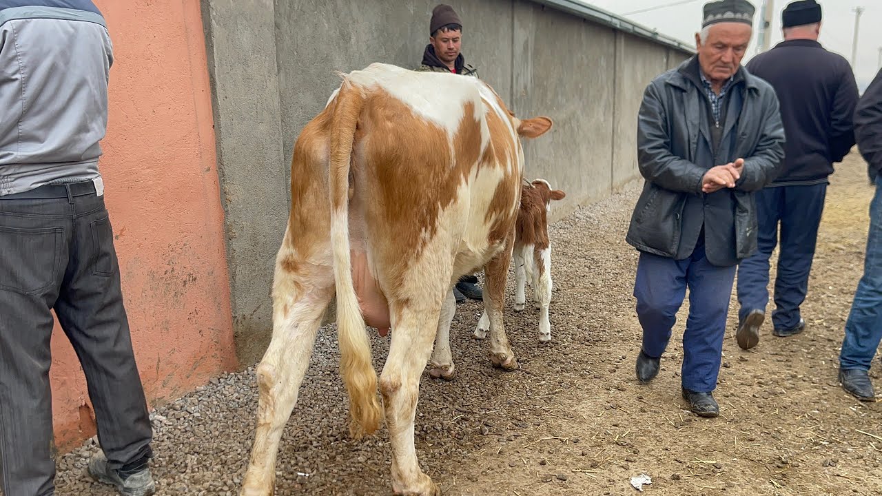 Shohidon mol bozori sotilganlar