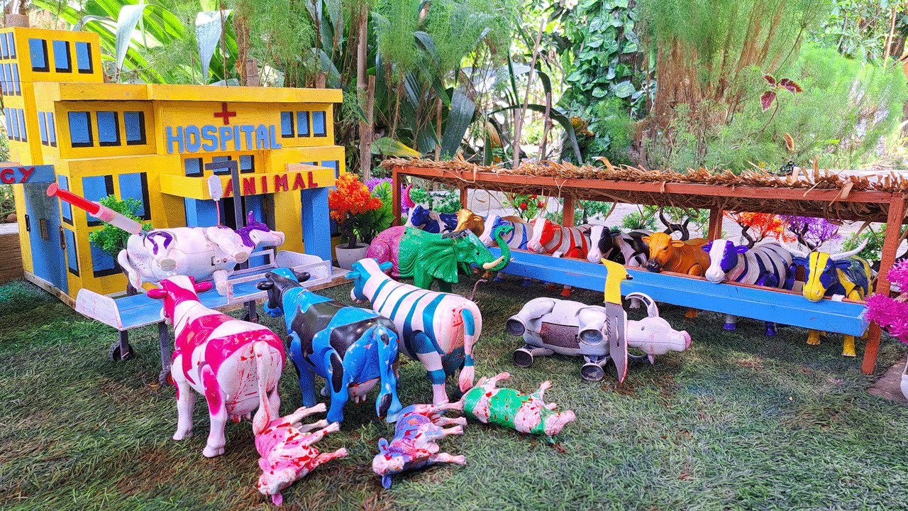 Wow !! Potong Sapi Kurban Untuk Idul Adha - Truk Oleng Angkut Hewan Sapi Lucu Melahirkan Cesar