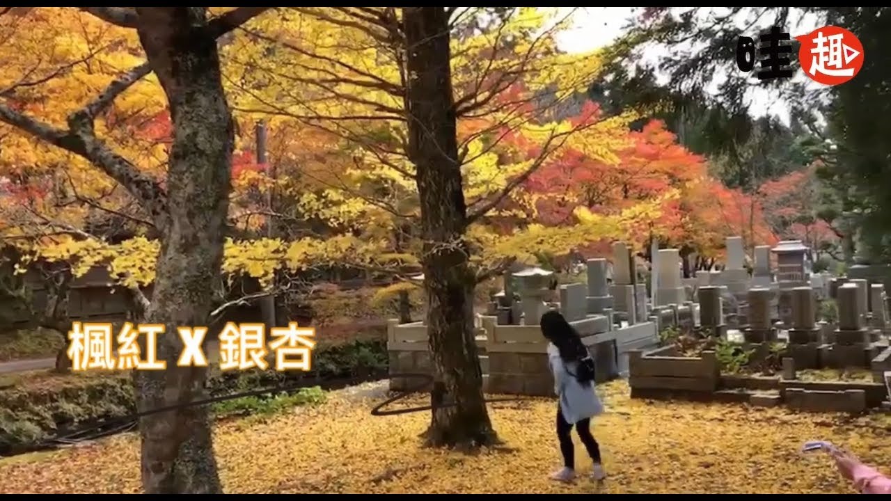 【#哇趣】前進日本奧之院參道