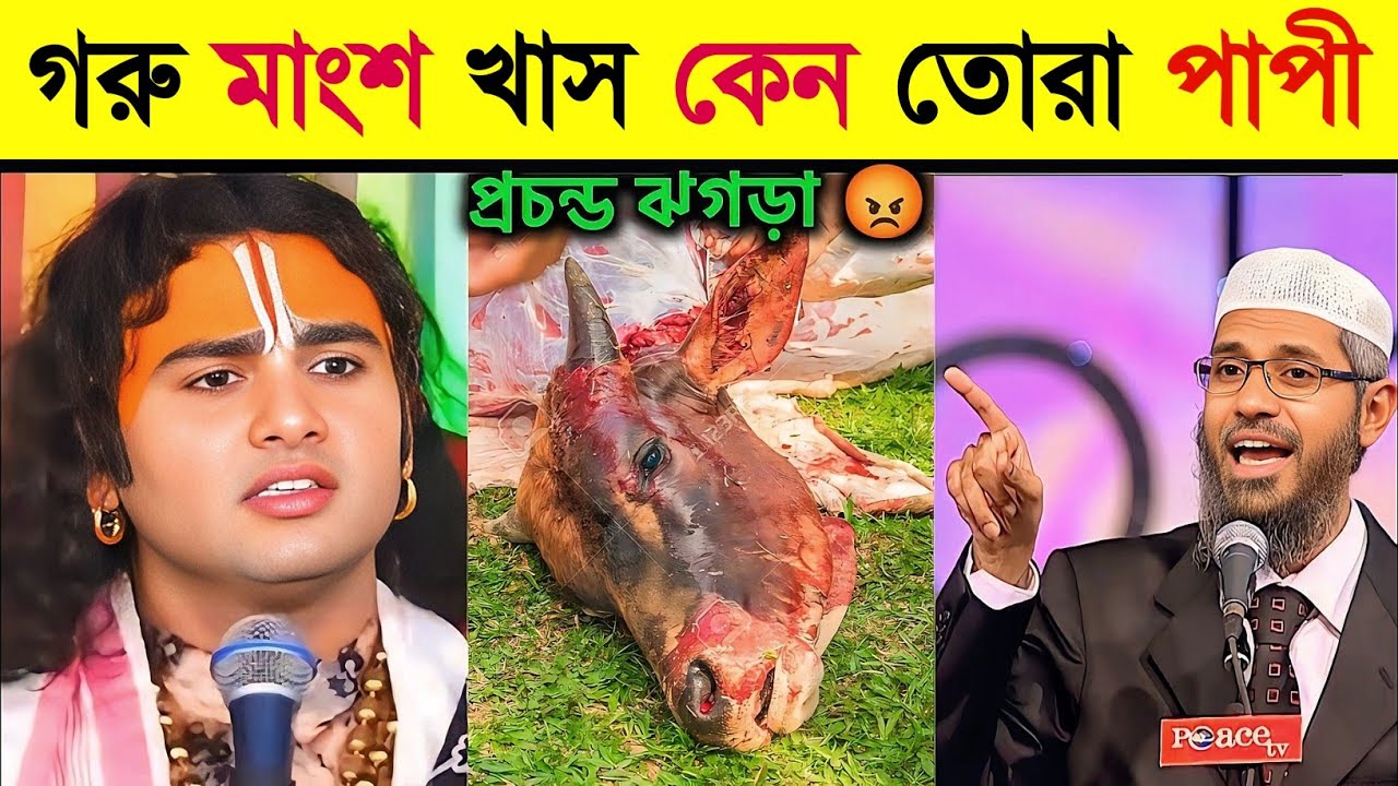মুসলিমরা গরু মাংস খান কেন 😡 ? হিন্দু পন্ডিতটির সাথে জাকির নায়েকের ঝগড়া । zakir naik lecture bangla