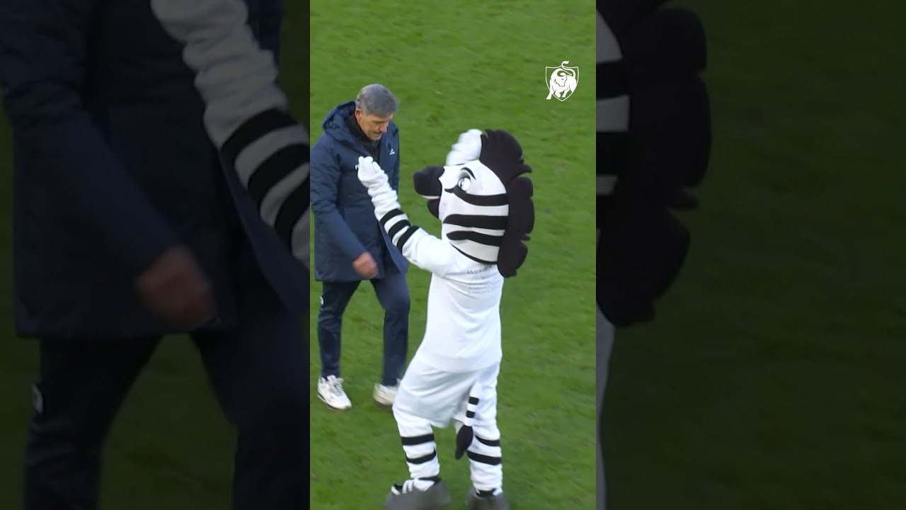 Felice Mazzù and Sporting Charleroi, and endless love story. 🖤🤍 #jupilerproleague