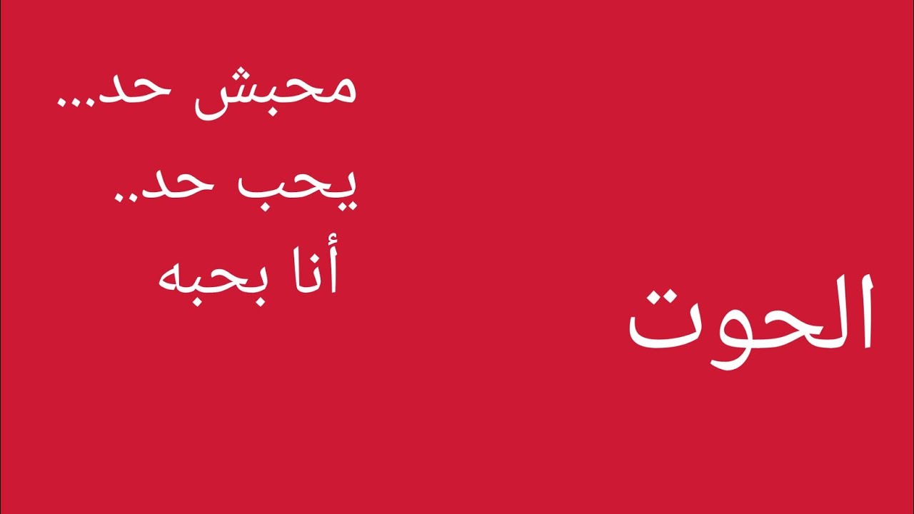 🛑الحوت( من غير معلش ..ولا حبش حد يحب حد... ااااني بحبه ..  🤭💃