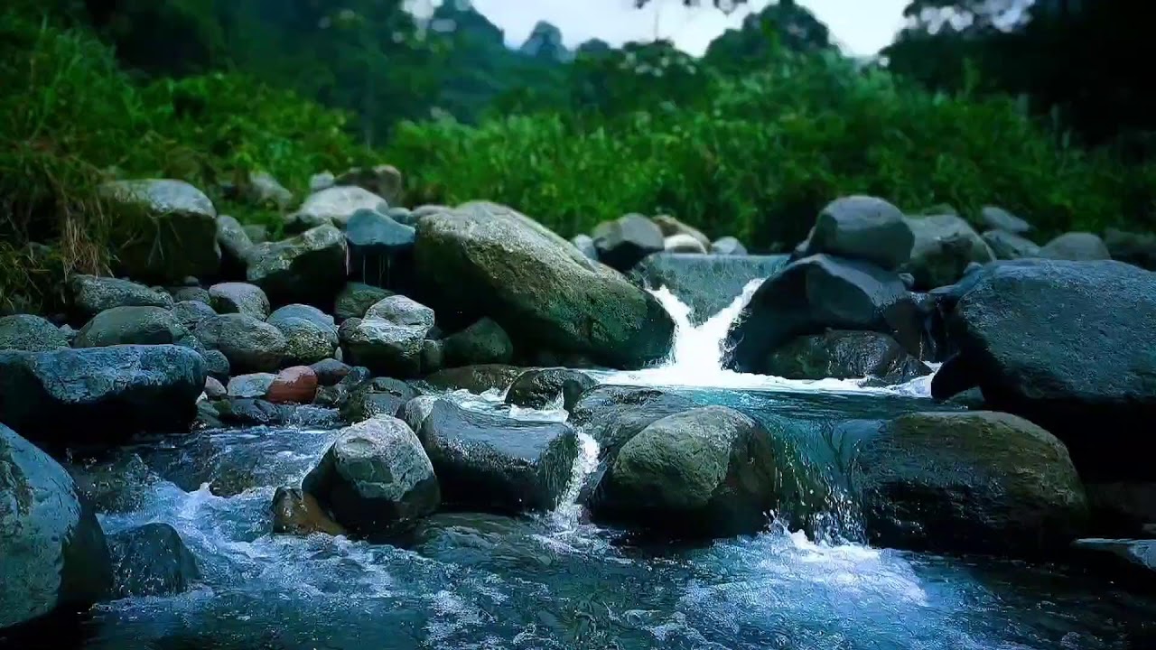 🍃 Peaceful Riverside ASMR Sounds for Deep Sleep, Relaxation & Calm Mind
