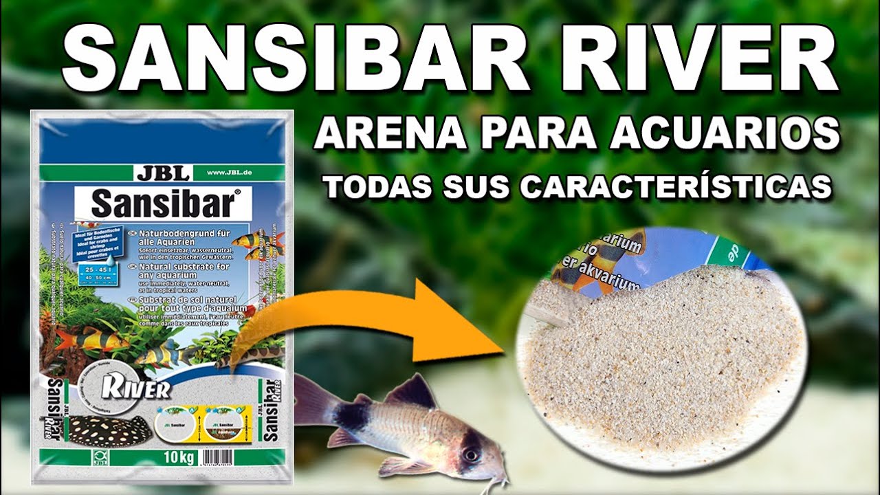JBL SANSIBAR RIVER 👉 TODO lo que debes saber | Sustrato Para Acuarios