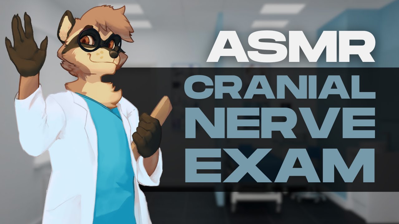 [Furry ASMR] Raccoon Does a General Check-Up and a Cranial Nerve Exam | Personal Attention...