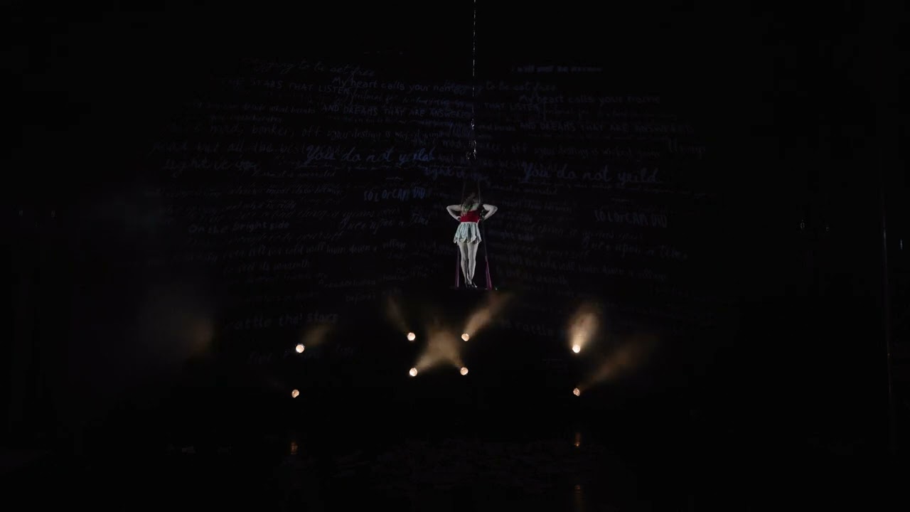 Just one more Chapter - Trapeze Act