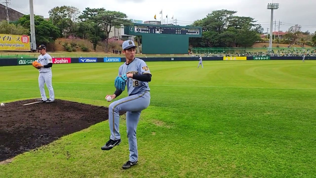 阪神タイガース宜野座キャンプ石井投手