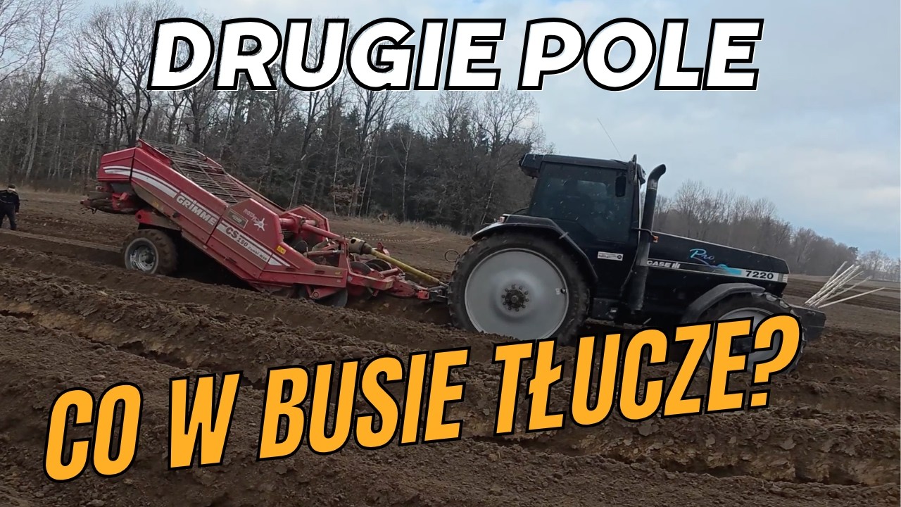 Poniedziałek trudny start. Zaczynamy nowe pole.