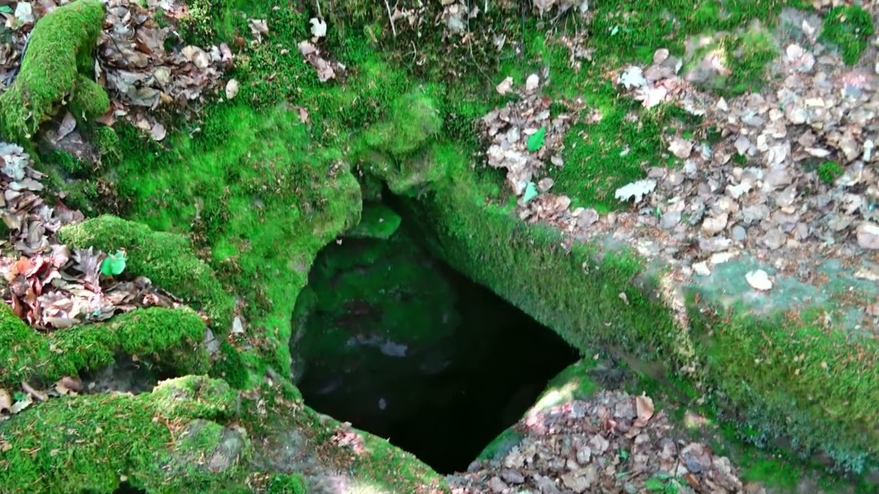 Friedenslinde   Sch&auml;cherloch   N&auml;chsterbrunnen (4K)
