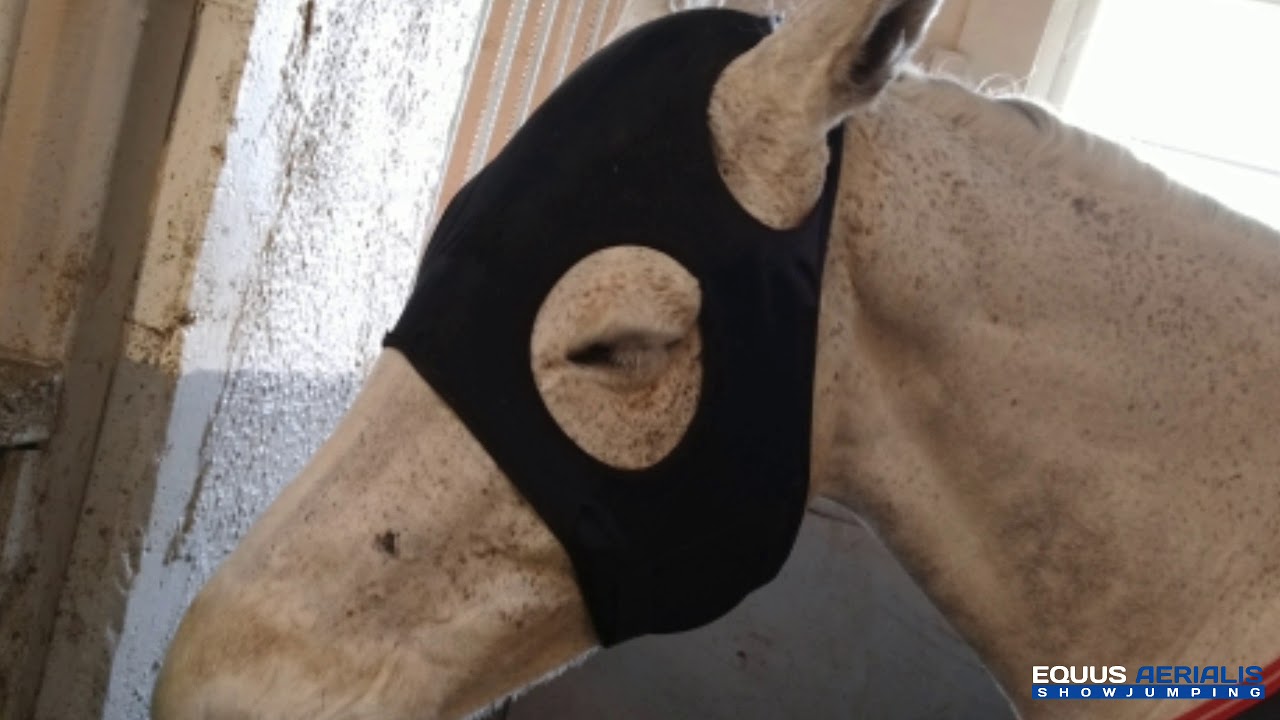 Liquid Titanium Mask