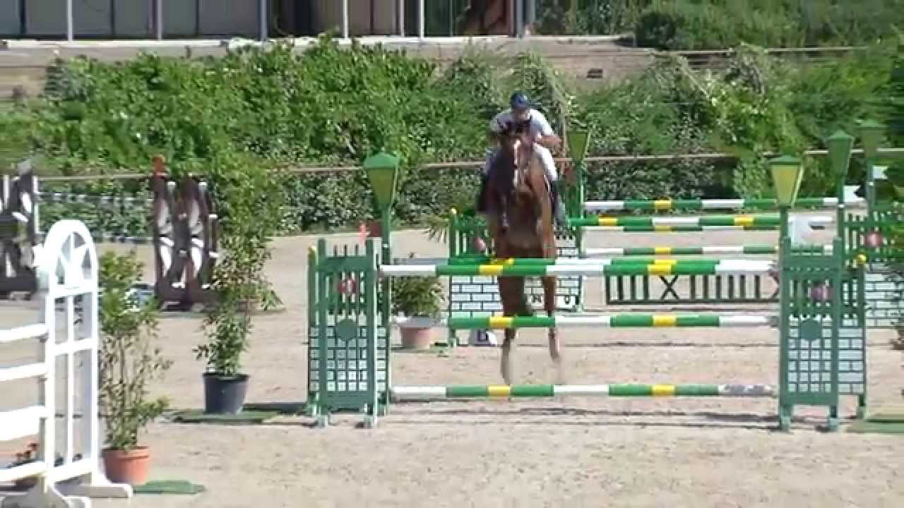 28Giugno15 Messersi Ilex C145