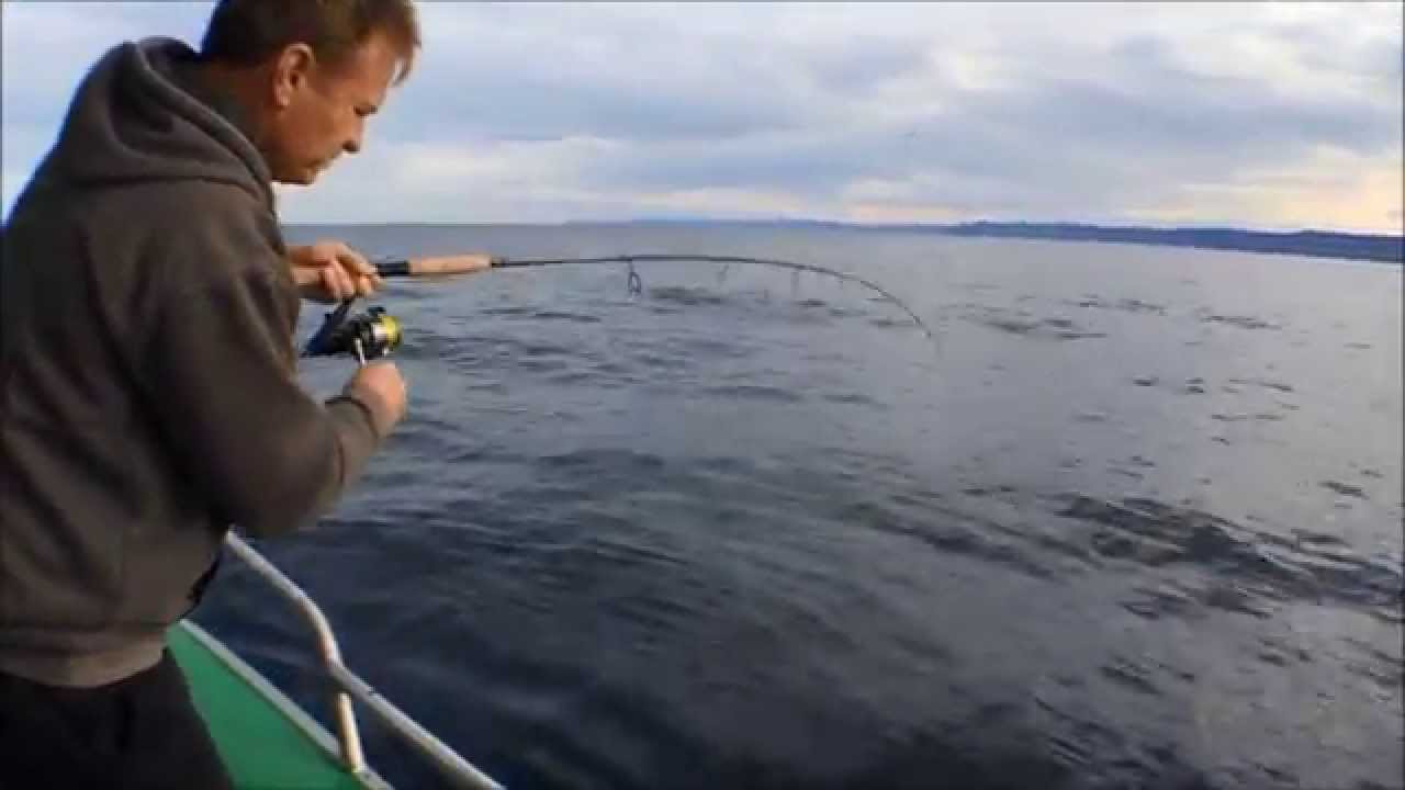 How to Catch Snapper in Deep Water | The Hook and The Cook