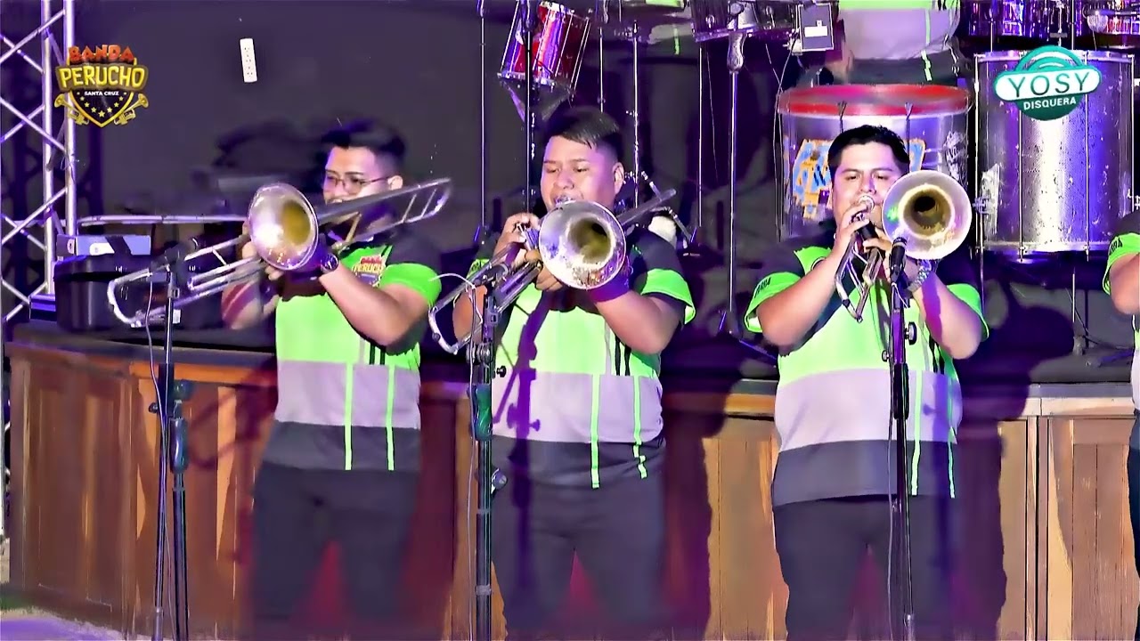 🥁16. Vaqueiro Apaixonado - BANDA PERUCHO🎺