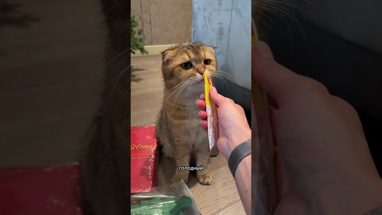 Именные игрушки на елку