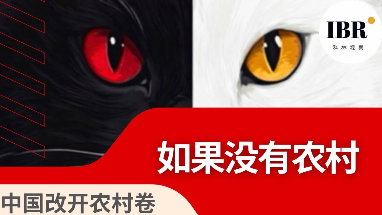 《被使用的土地》第九卷｜被使用的土地：一笔必须算清的国家账｜中国改革开放48年的国家试验