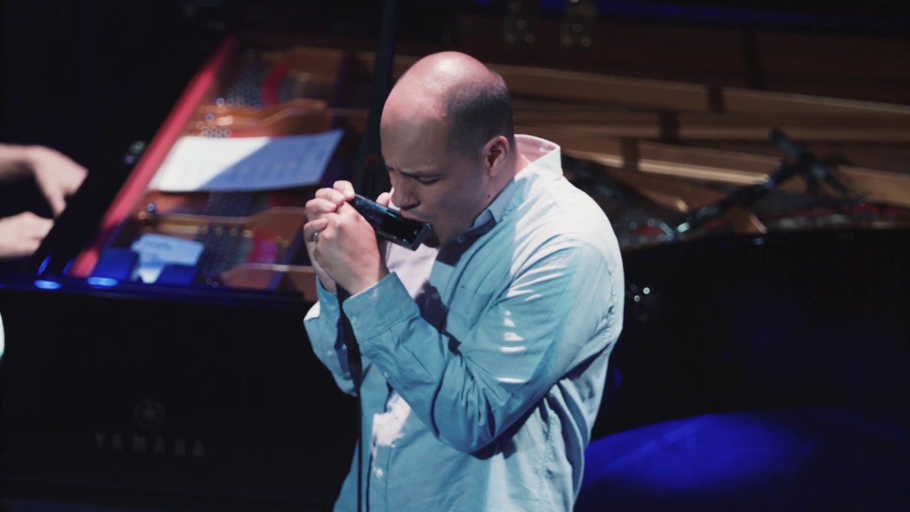 Grégoire Maret - Romain Collin Duo - Schaffhauser Jazzfestival 2018