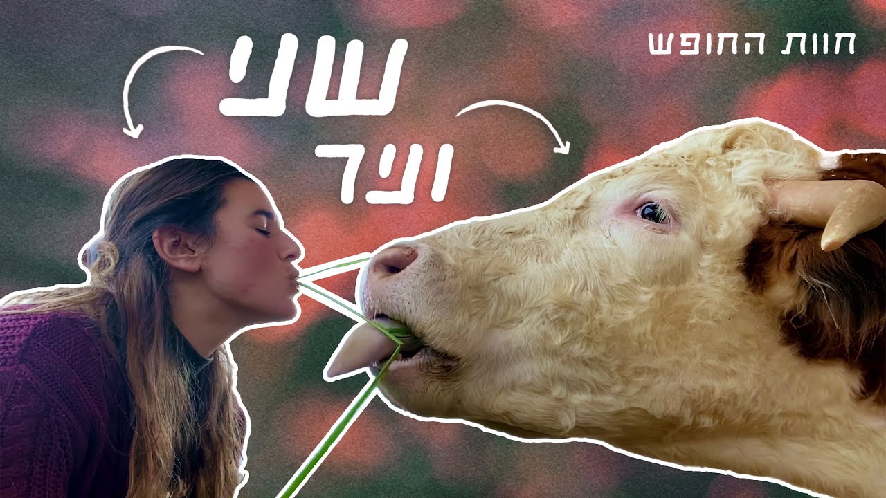 חוות החופש 🐄 | שני וניר