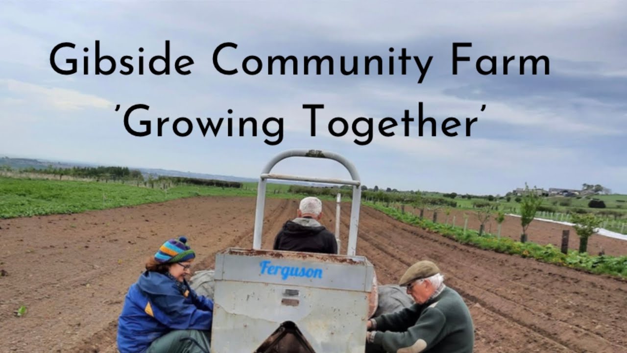 Organic Growers, Gibside Community Farm (3): Inspiring North East TV