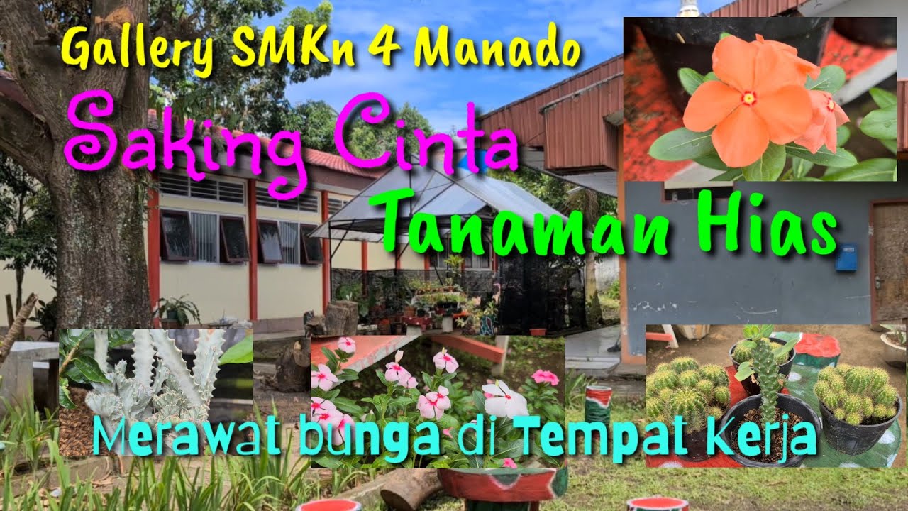 SAKING CINTA DENGAN TANAMAN HIAS (Koleksi Tanaman Hias SMKN 4 Manado)