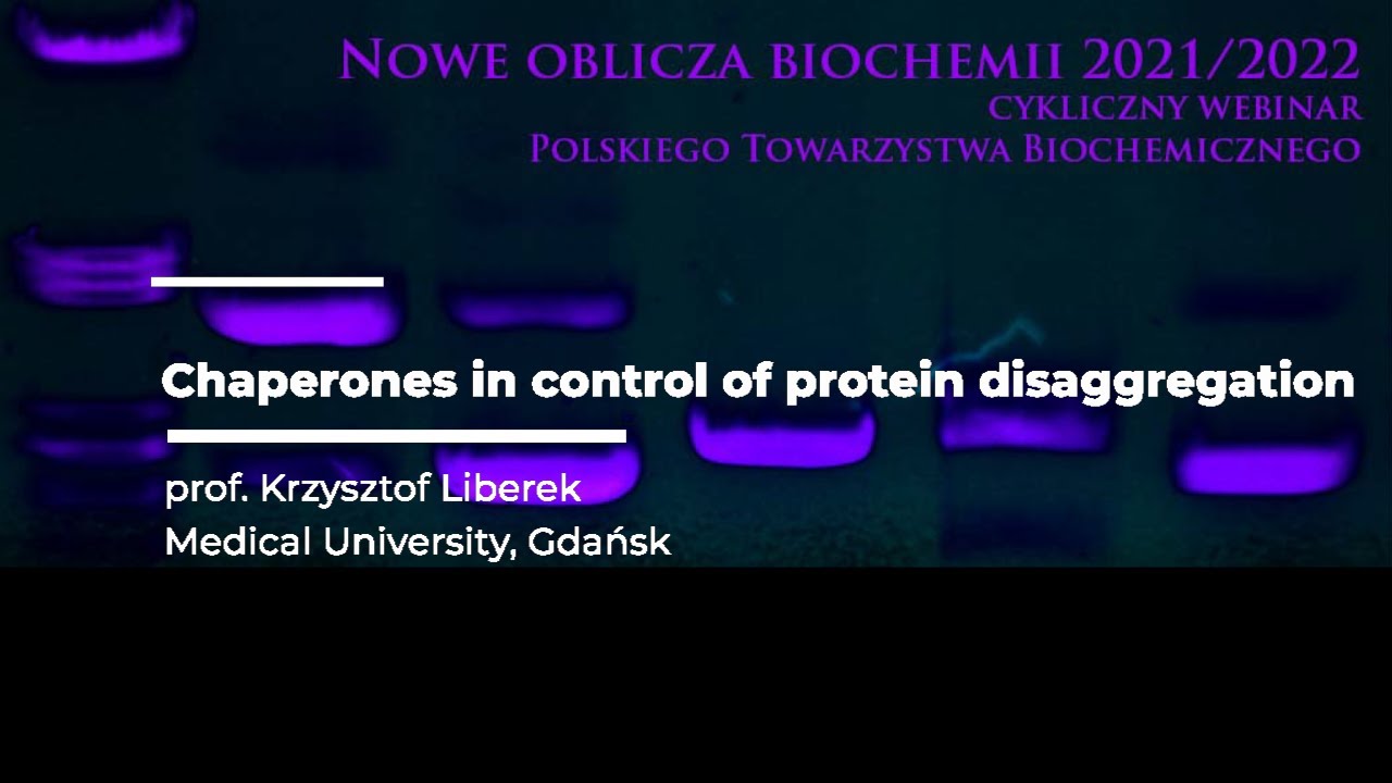 Chaperones in control of protein disaggregation - prof. Krzysztof Liberek