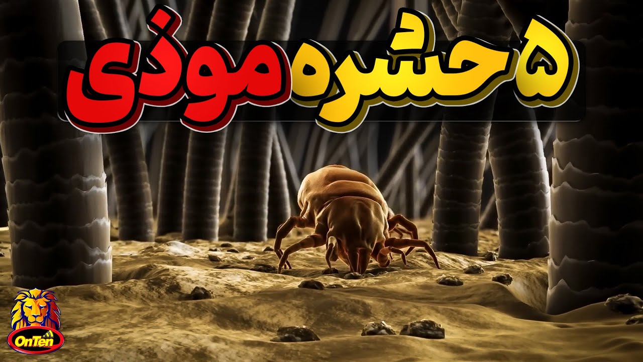 پنج حشره خون آشام، بیماری زا، موذی، فاسد و پنهانکار در باغ وحش آنتن