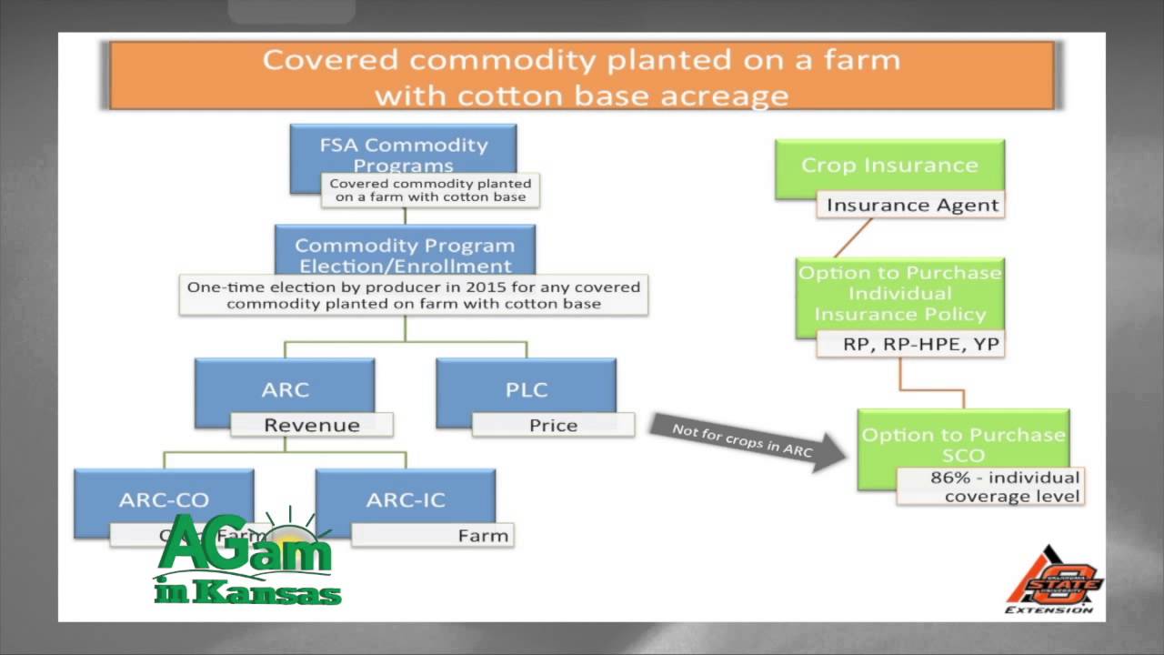 Dr Jody Campiche - Farm Bill Cotton