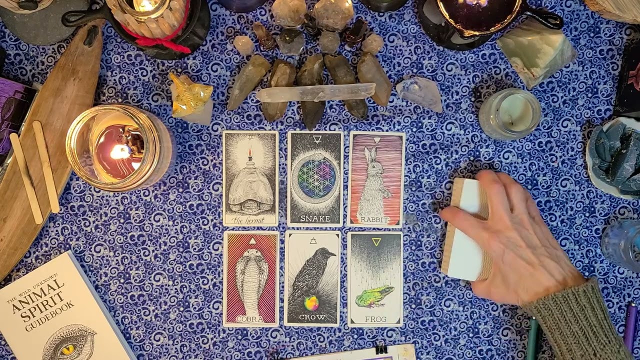 TorhallasReadings 1Feb3027 #WildUnknownTarot