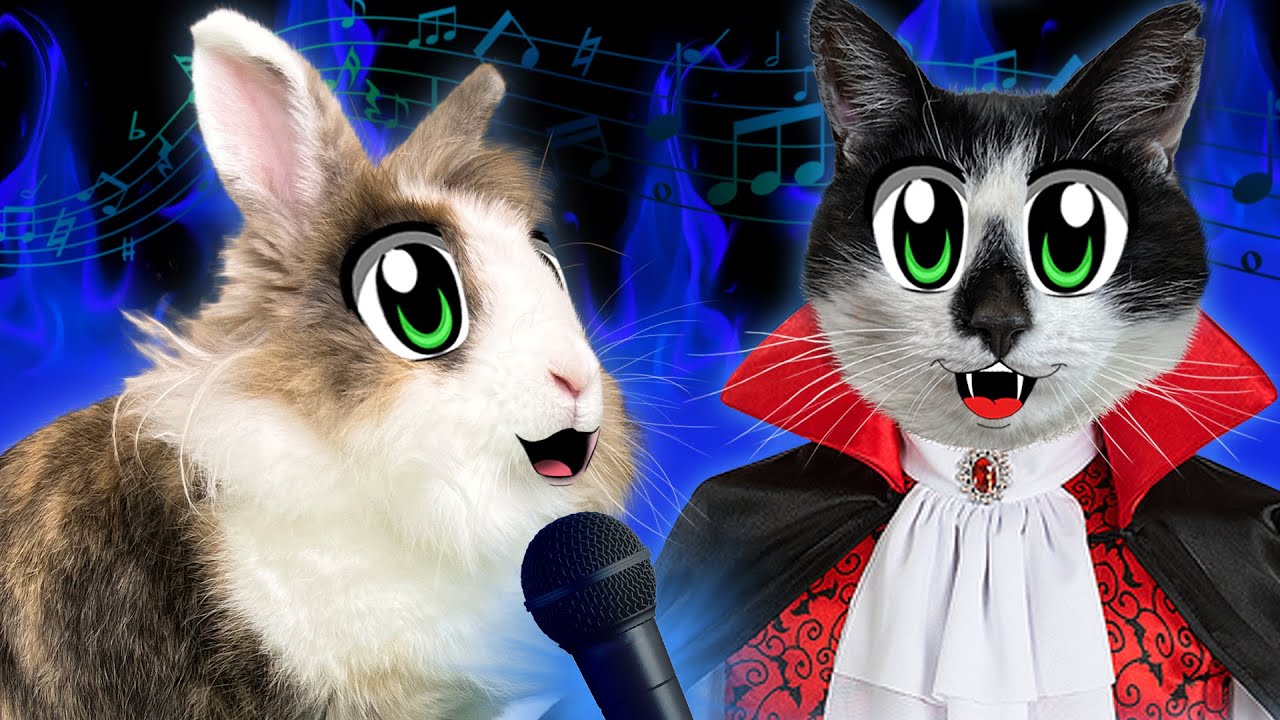 А ну-ка Давай-ка: КОТ ВАМПИР (Официальный клип)