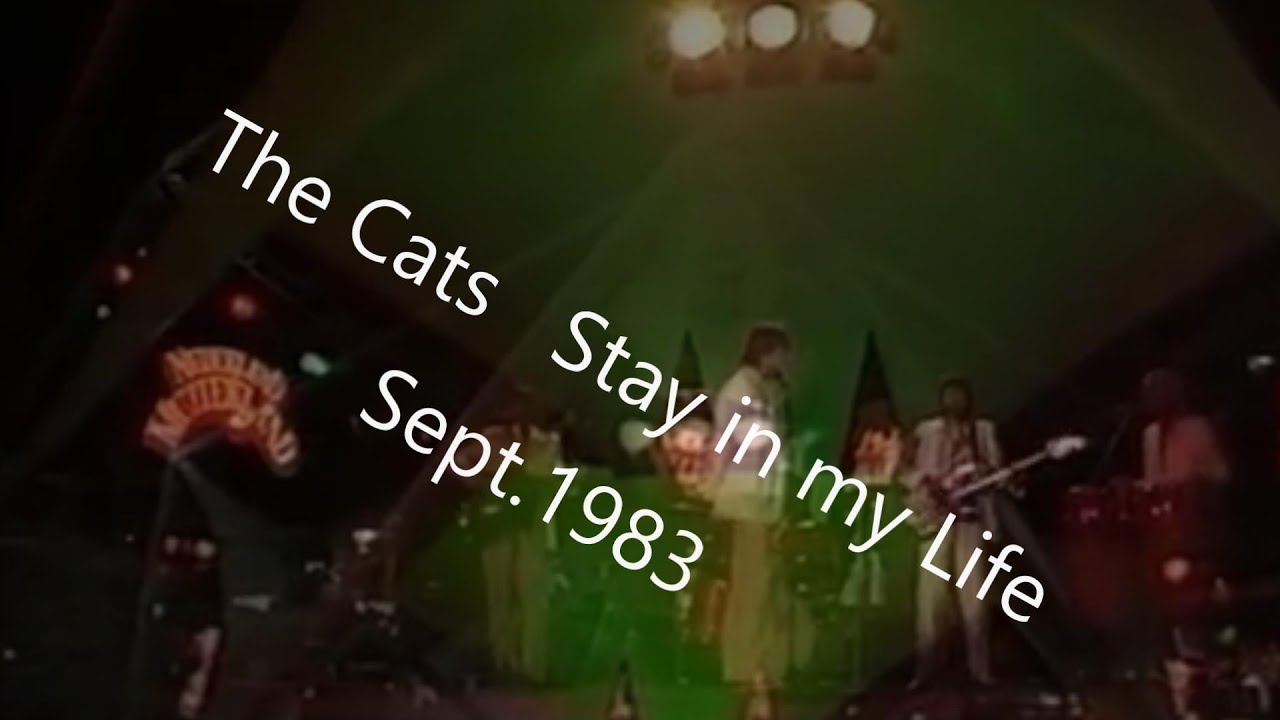 The Cats   Stay in my life  1983