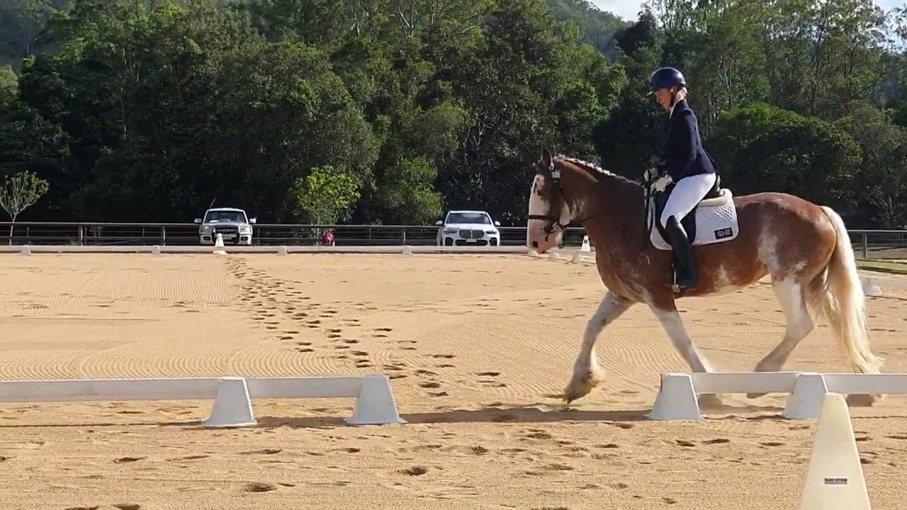 Gracie Samford Dressage Prelim 1.1