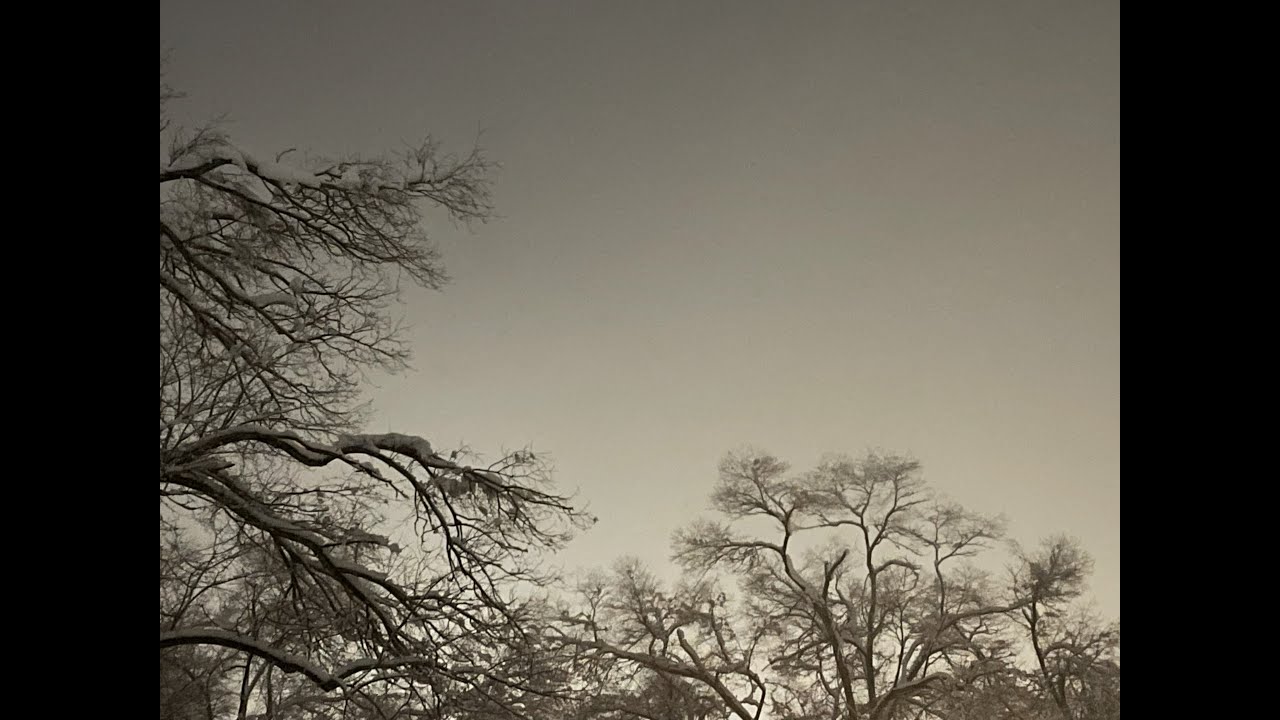 January 8 - Writing the Senses