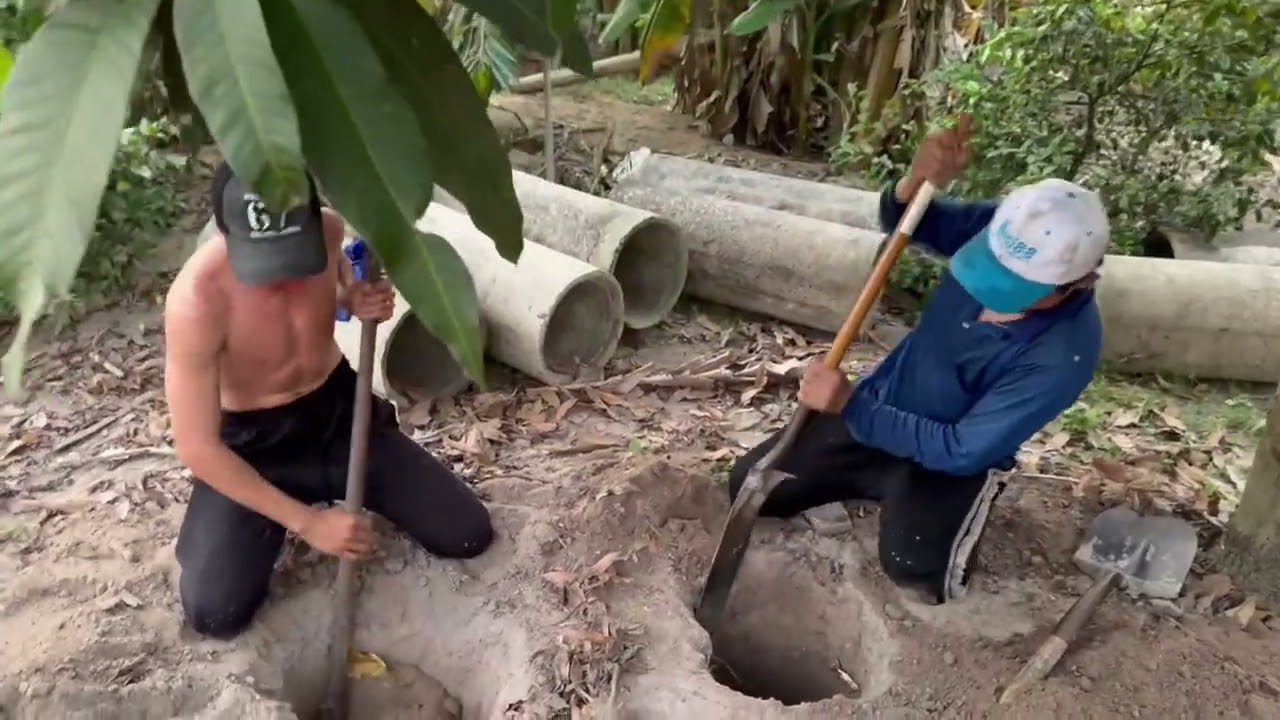 “Về Quê Em, Cắt Tỉa Bông Ổi, Giúp Cây Mau Lớn.