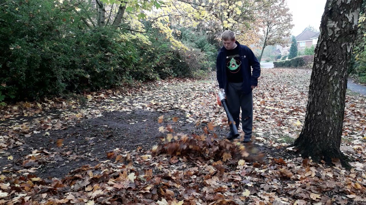 stihl  bg 56 petrol leaf blower part 1