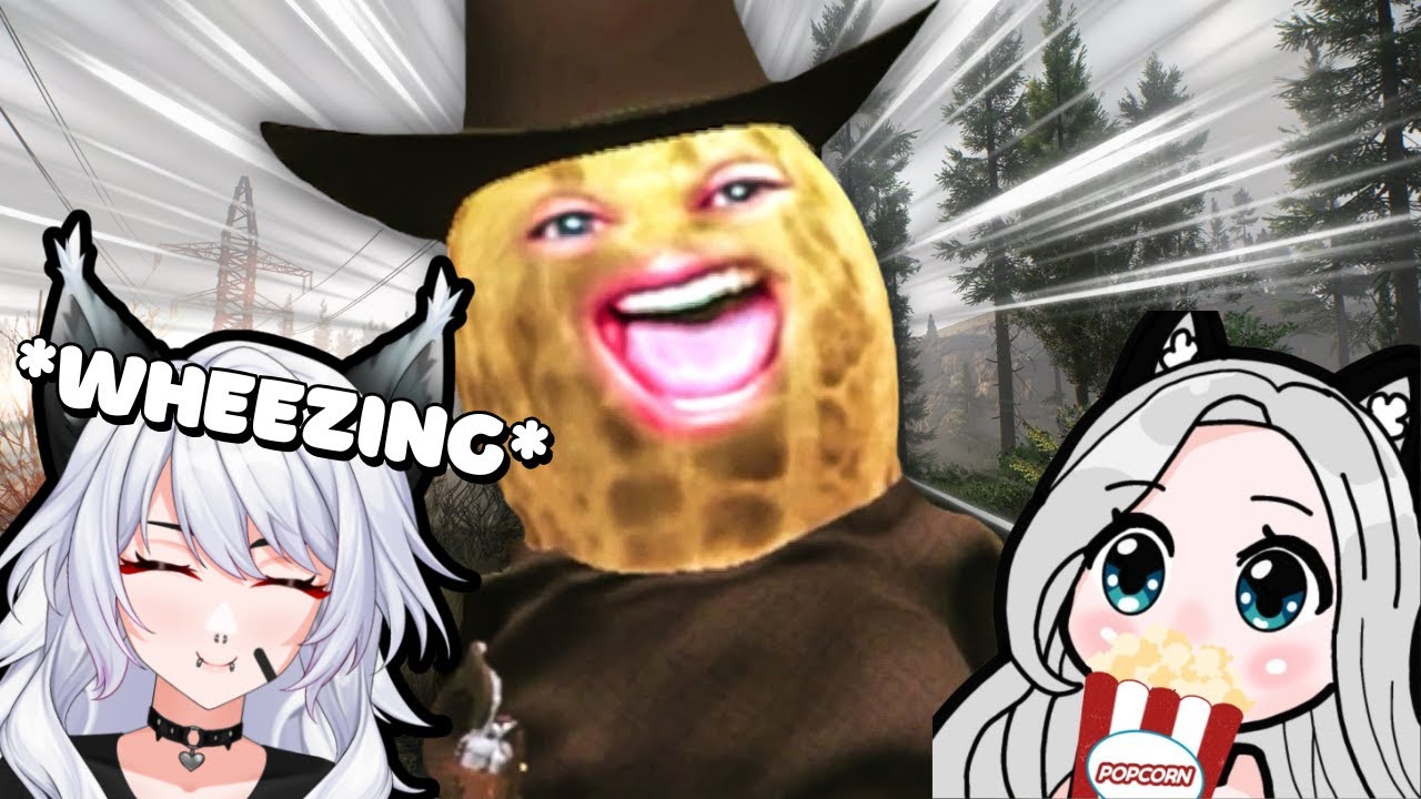 16 Minutes Of Viral Peanut Moments! | Lustylynx reacts