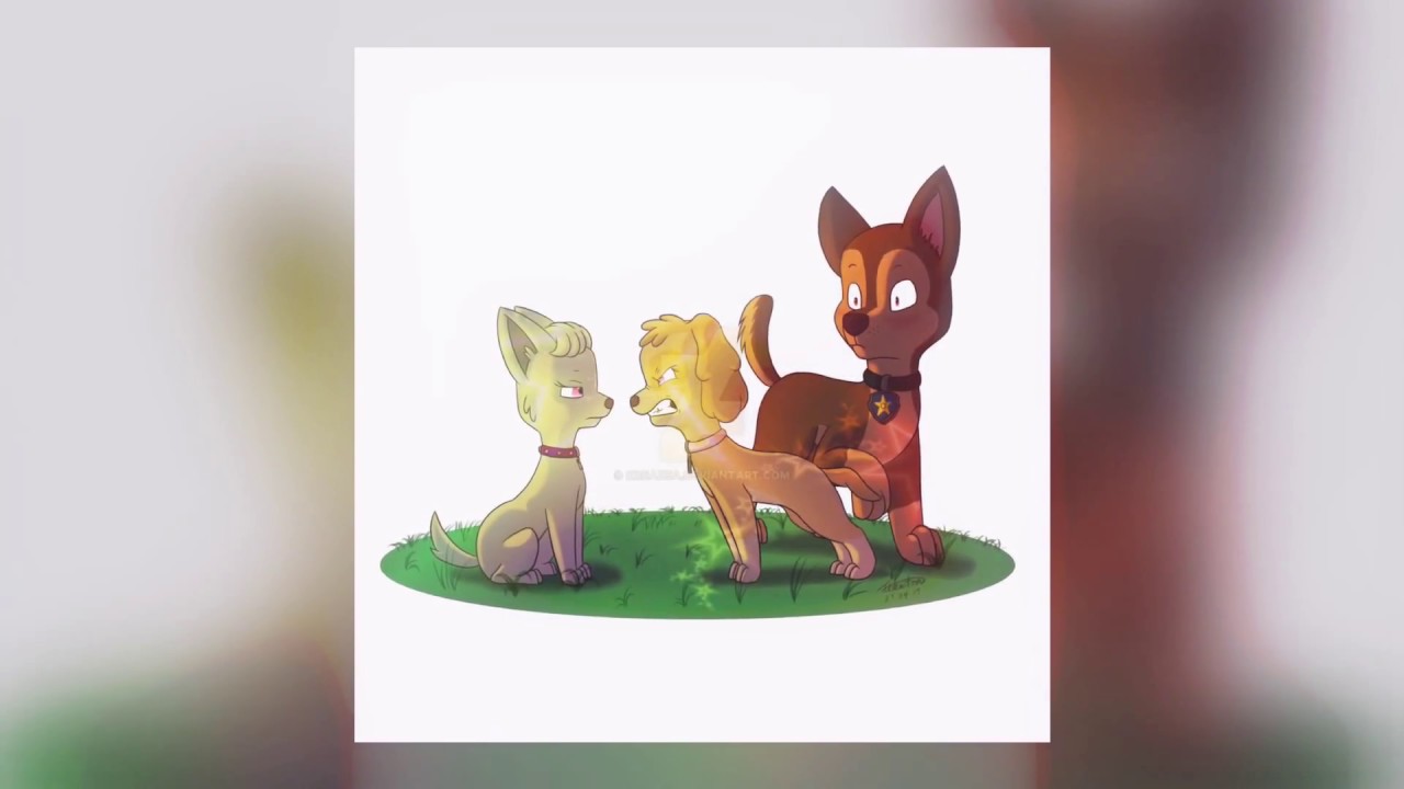 Paw patrol 😘😘😘😘