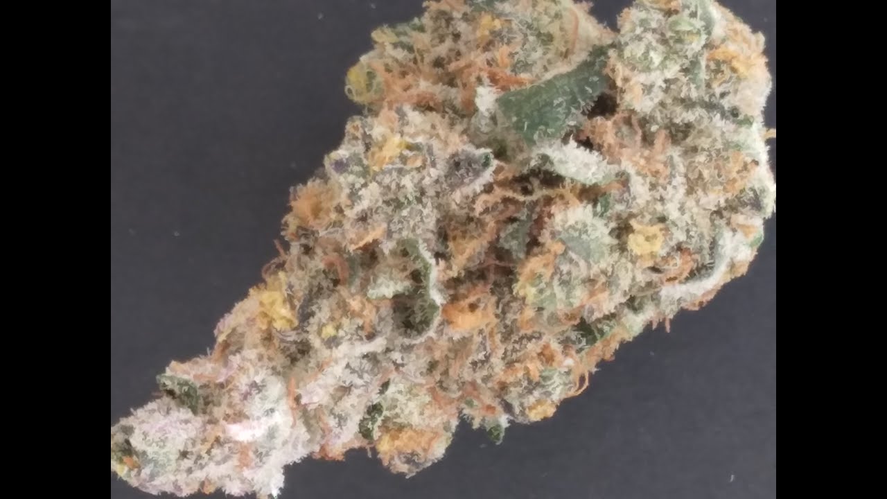 The Swanky Stoner - Tropicanna Garlic by Redbird - Strain Review