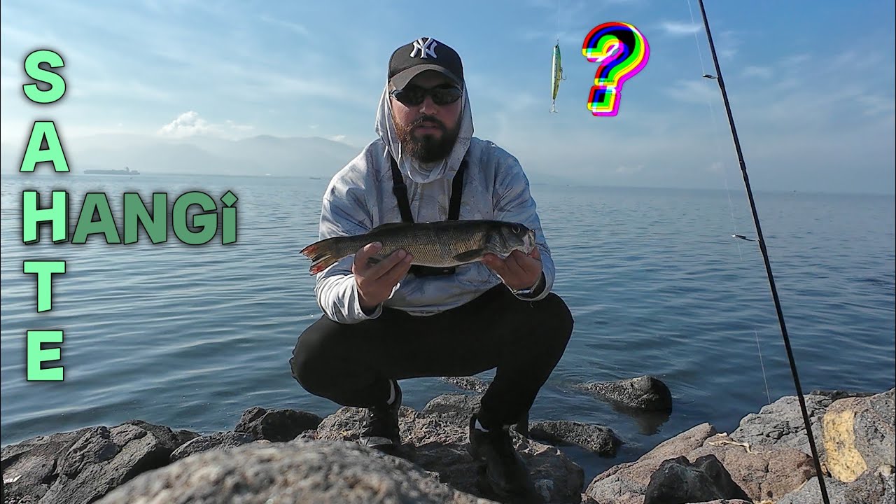 ŞEHRİN G&Ouml;BEĞİNDE YATAK LEVREĞİ KANDIRMAK !? WTD AKSİYONU