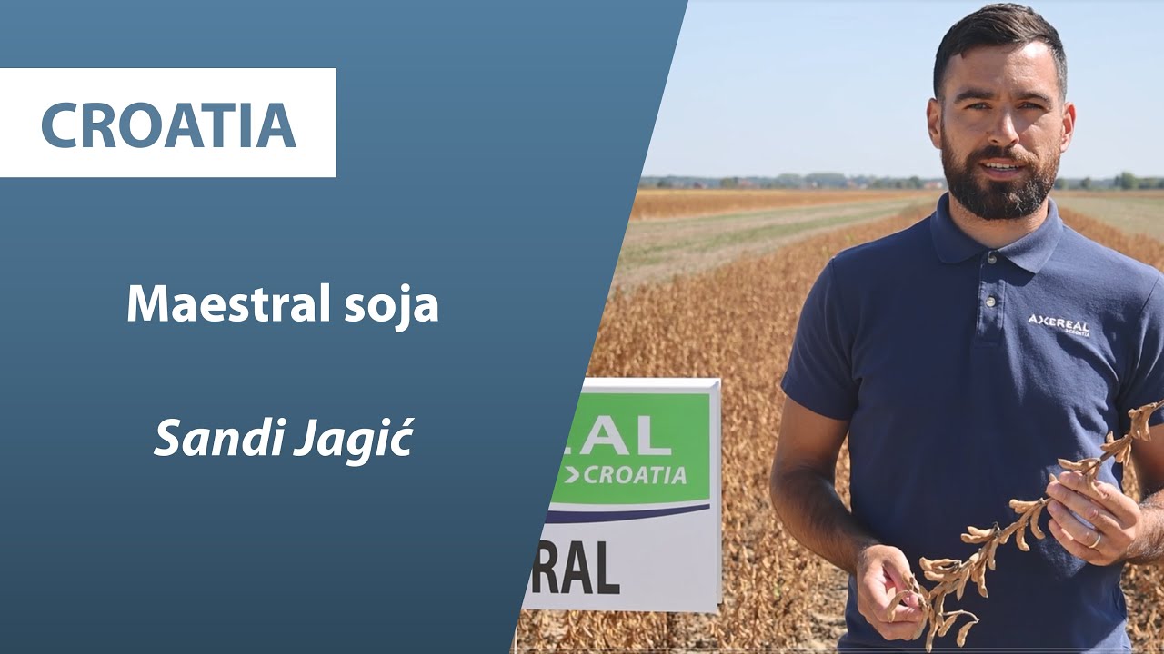 MAESTRAL VRLO RANA SOJA | Axereal Croatia