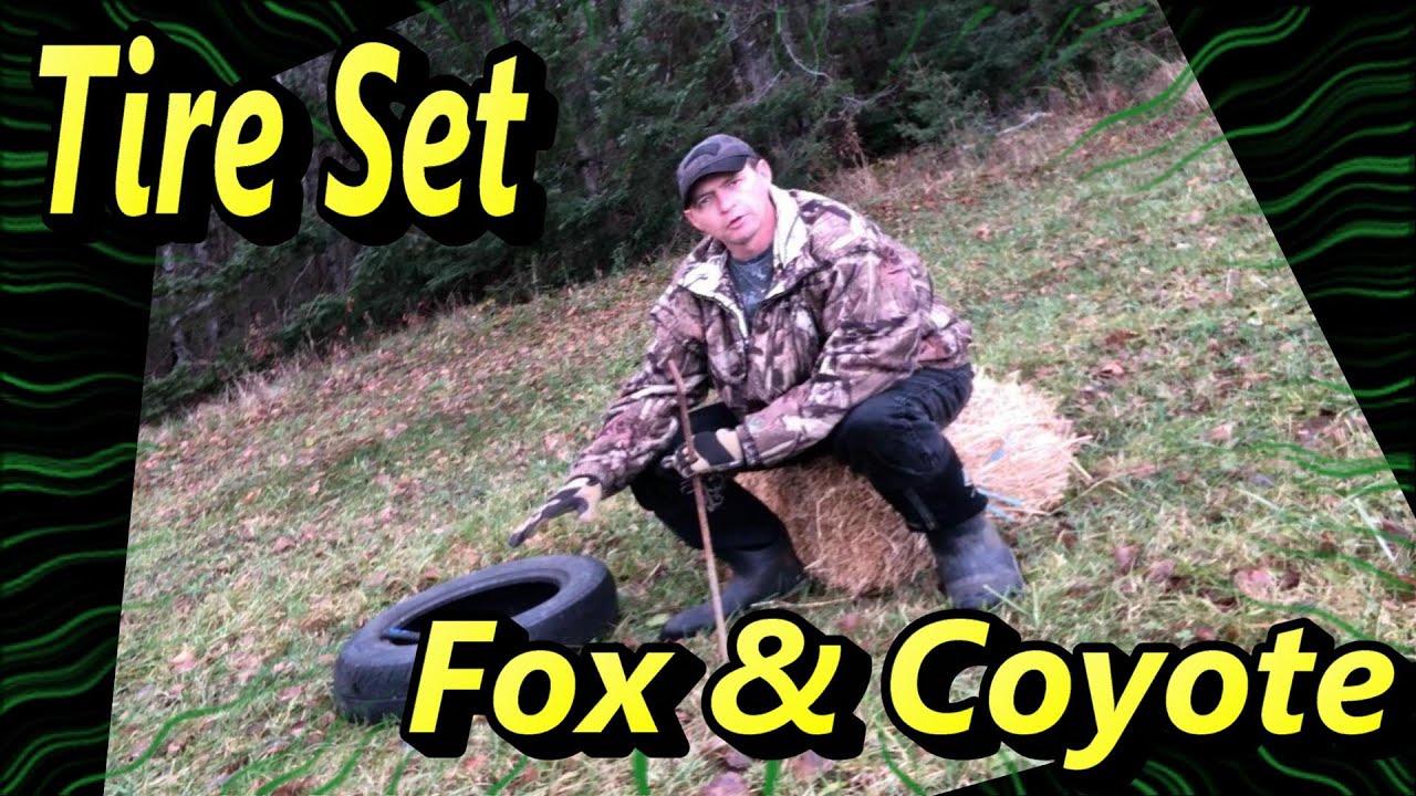 Tire Set for Fox & Coyote, Quick and Easy. Detailed Demo