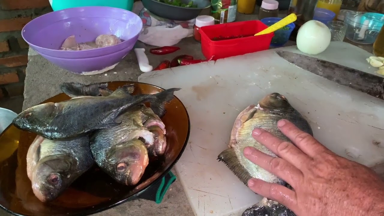 Caldo de piranha sem espinhos