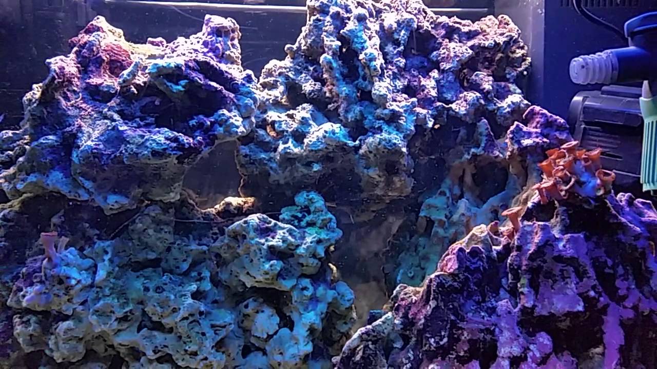 4. Morskie. Skała i reszta sprzętu.