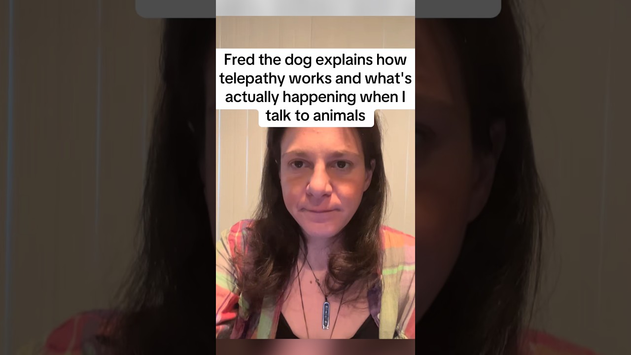 Fred the dog explains how telepathy works and what's actually happening when I talk to animals
