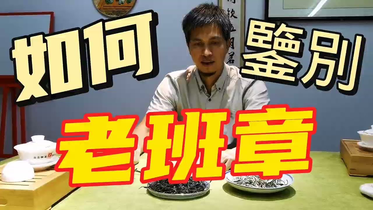 老班章普洱茶，如何鑑別真假？怎麼分辦老班章古樹茶的真假？