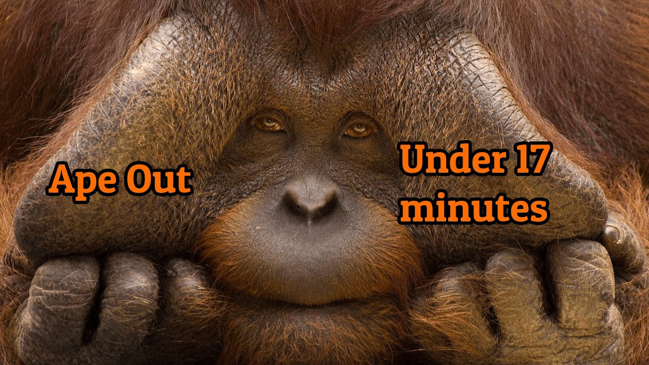 Ape Out Any% Normal in 16:46 APE OUT IN UNDER 17 MINUTES