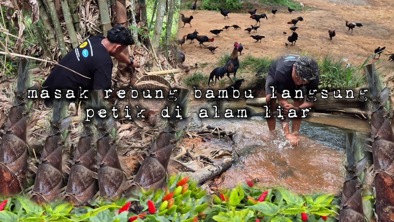 Kebutuhan hidup terpenuhi saat kita berdampingan dengan alam warta petani muda hidup di hutan